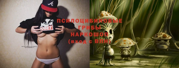 скорость Няндома