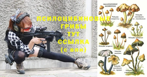 скорость Няндома