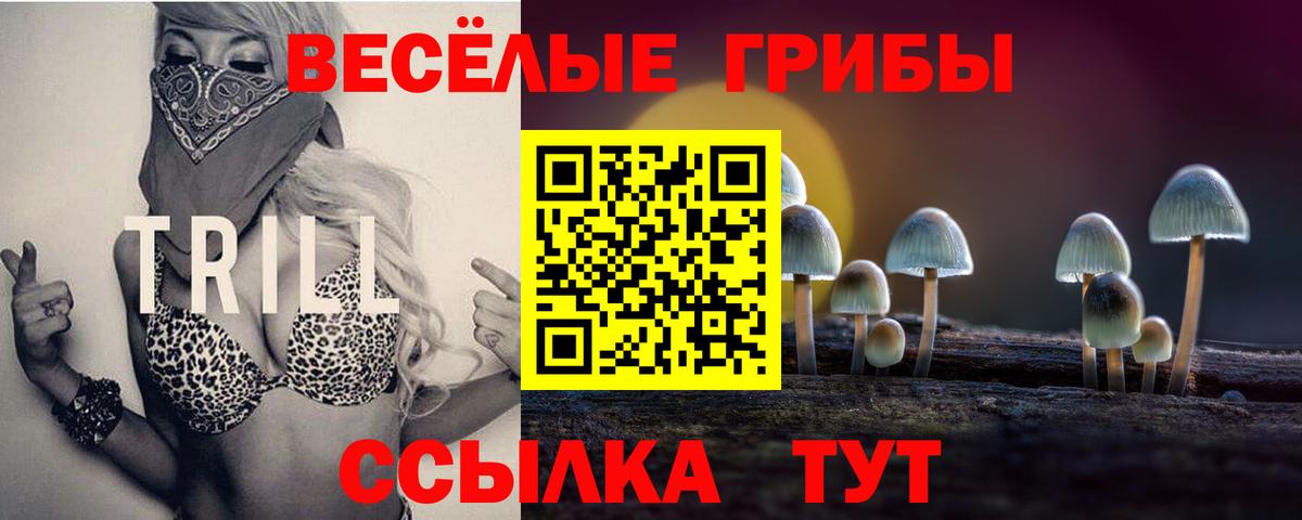 Галлюциногенные грибы Magic Shrooms Чистополь